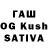 Галлюциногенные грибы Cubensis Kyryl Lavreniuk