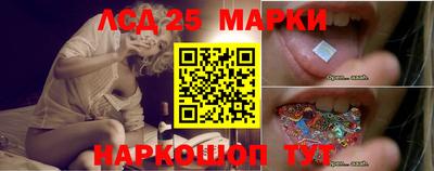 прущие грибы Камышлов