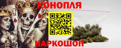 прущие грибы Камышлов